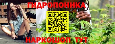 дмт Краснознаменск