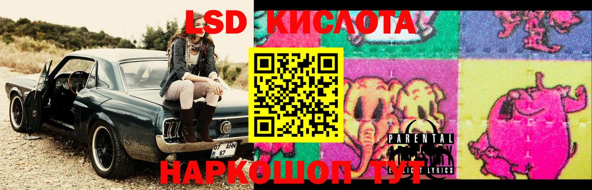 Кропоткин  blacksprut ссылки  Вход с VPN  ЛСД экстази ecstasy 