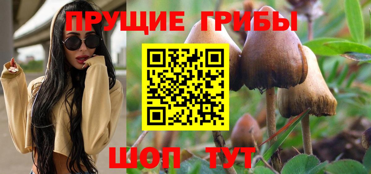Кропоткин  закладки  Вход с VPN  Галлюциногенные грибы GOLDEN TEACHER 